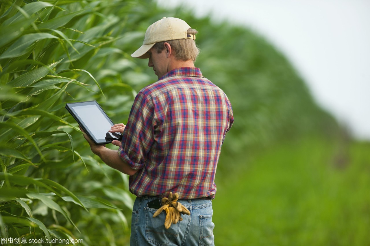农业——一位年轻的农民在玉米地里种植谷物,在他的苹果ipad上记录农作物数据。这代表着下一代的年轻农民使用最新的技术在农业作业/明尼苏达,美国。